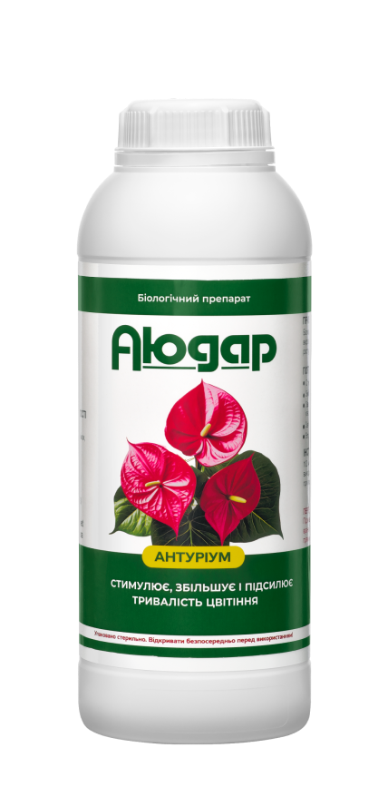 Аюдар Антуріум