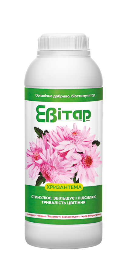 Евітар Хризантема