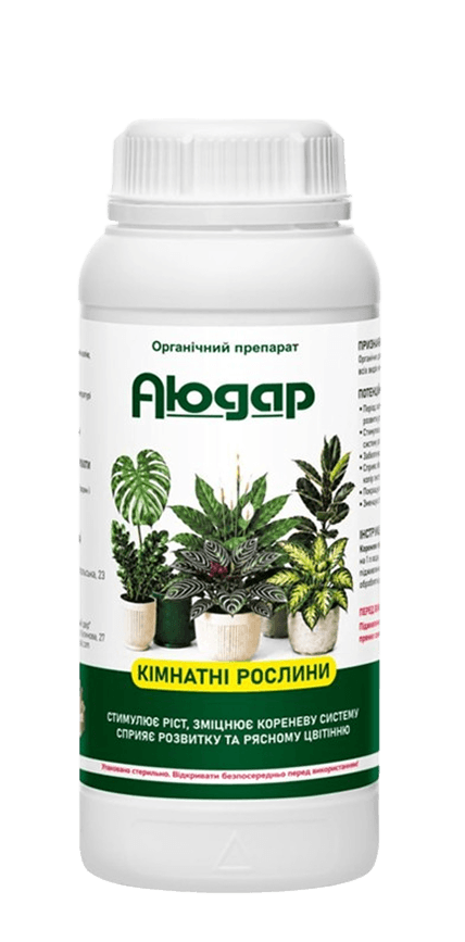 Кімнатні рослини